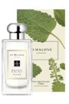 Jo Malone London Wood Sage & Sea Salt 100ml Bayan Parfüm Orjinal JLT